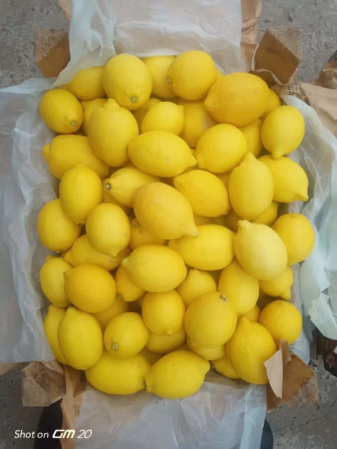 Frisches Obst und Gemüse