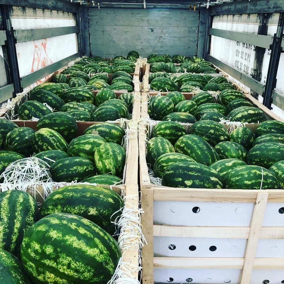 Frisches Obst und Gemüse