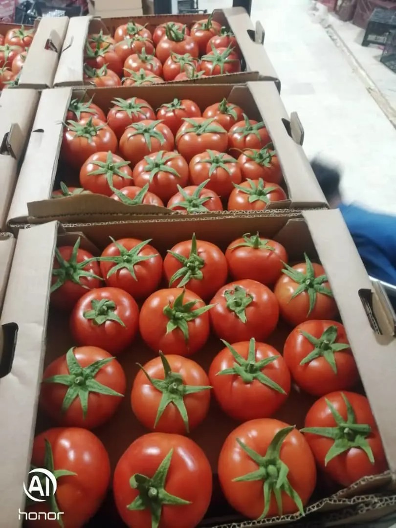 Tomaten